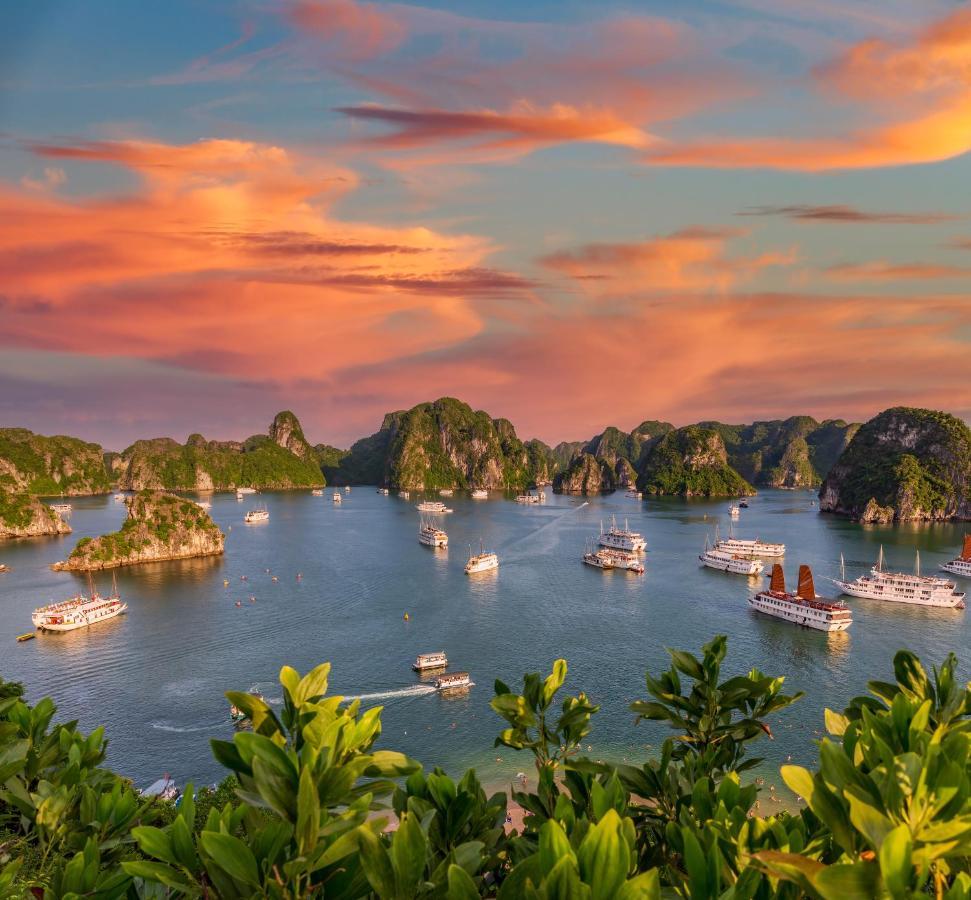 Syrena Cruises Otel Ha Long Dış mekan fotoğraf